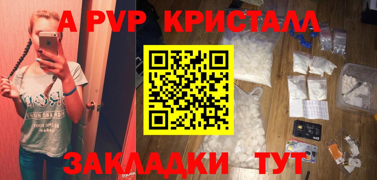 Альфа ПВП СК КРИС Курчалой