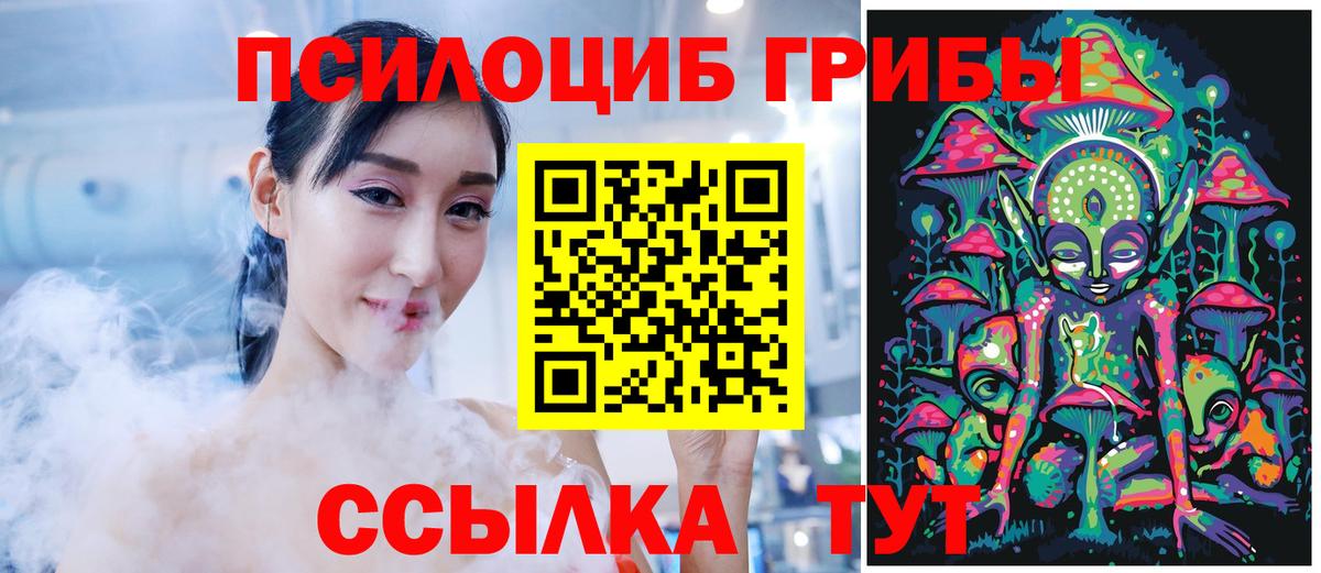 Галлюциногенные грибы Cubensis Курчалой
