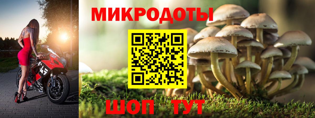 цена наркотик  Галлюциногенные грибы Magic Shrooms  Вход с VPN  Курчалой 